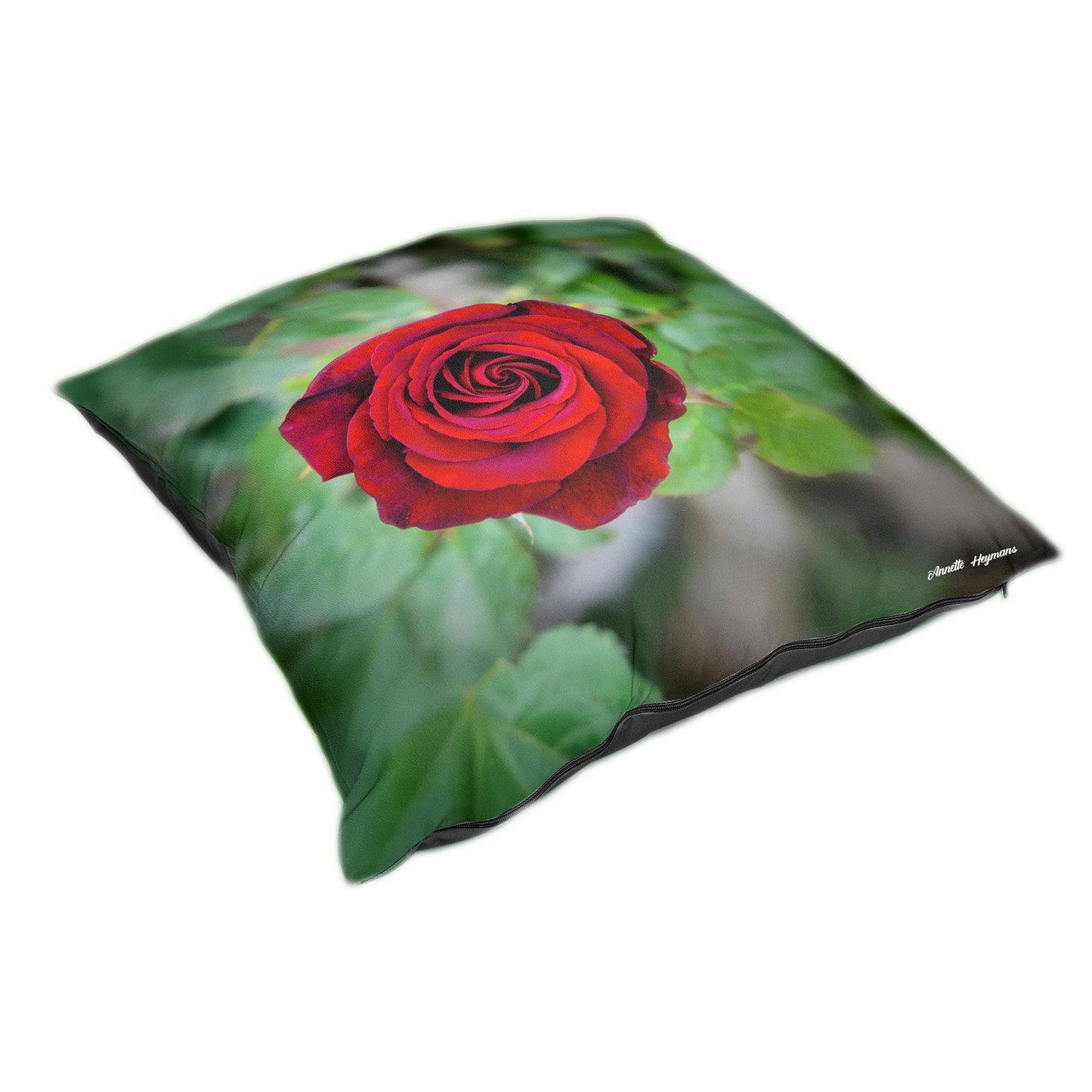 Red Rose Luxury Scatter by Annette Heymans