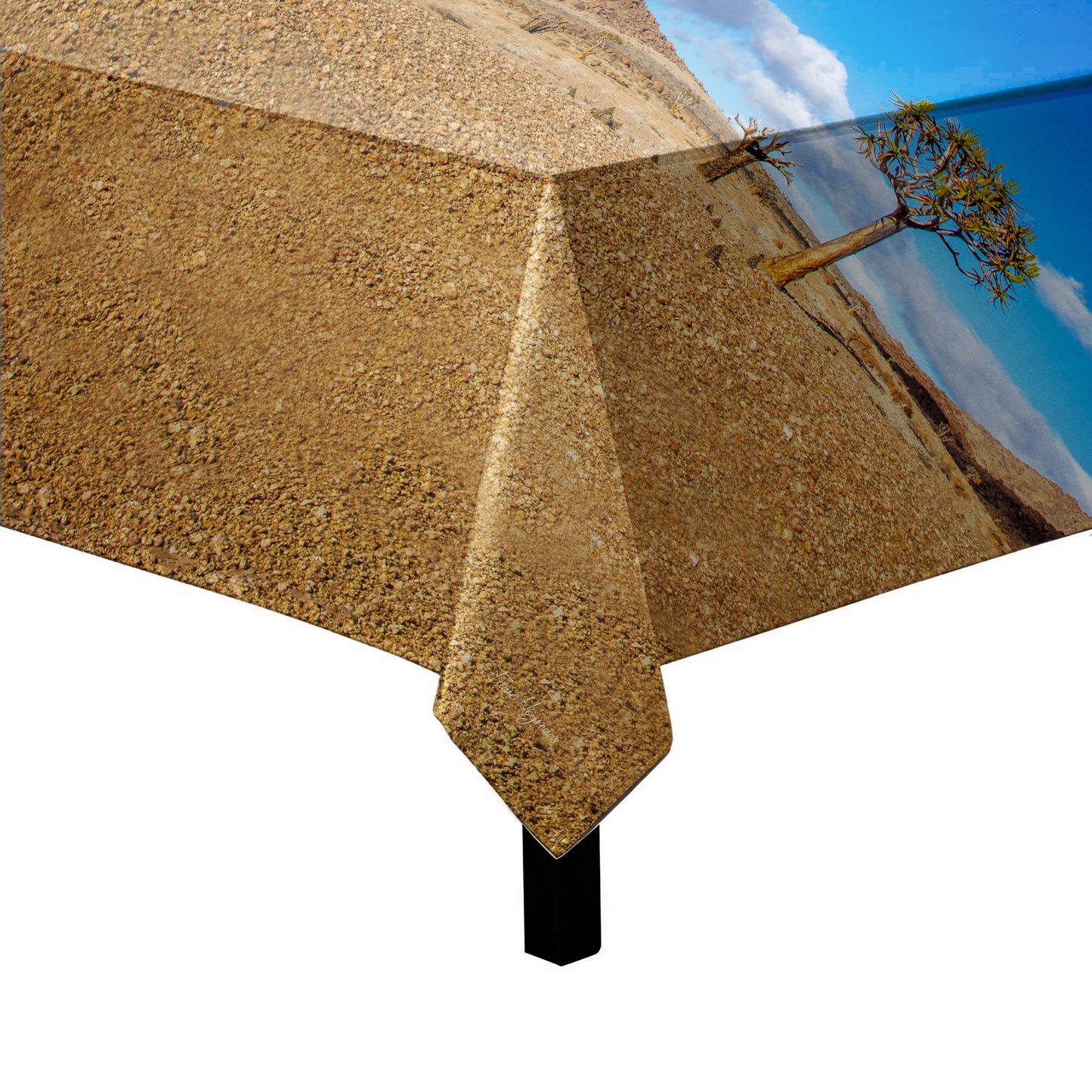 Richtersveld Landscape Square Tablecloth by Fanie Heymans