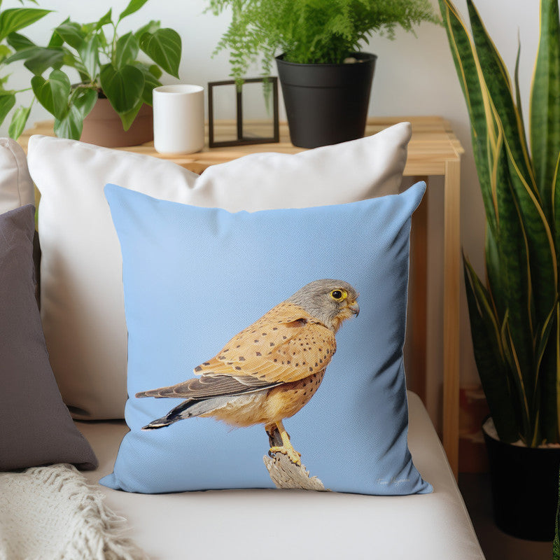 Rock Kestrel Luxury Scatter By Fanie Heymans
