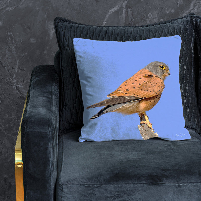 Rock Kestrel Luxury Scatter By Fanie Heymans
