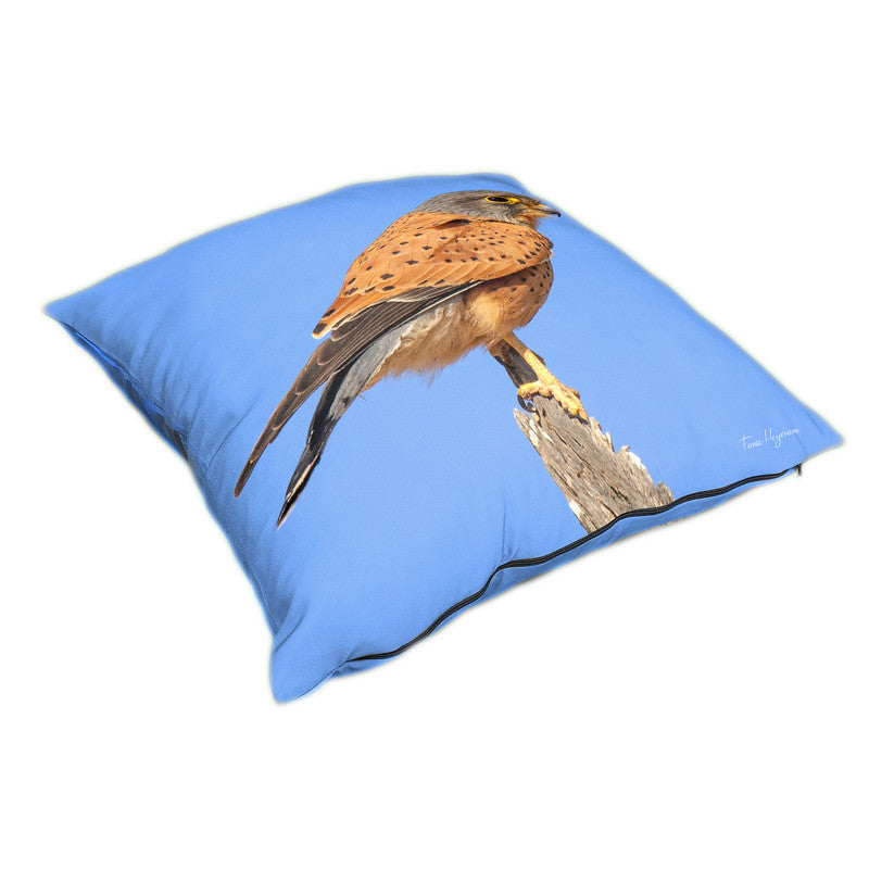 Rock Kestrel Luxury Scatter By Fanie Heymans