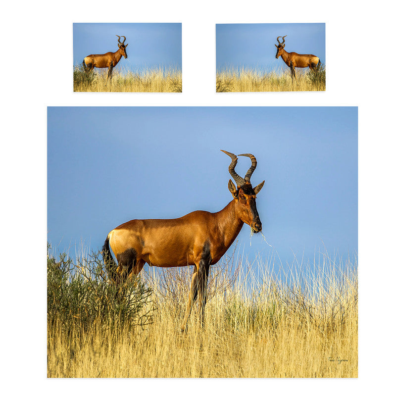 Rooi Hartebees By Fanie Heymans Duvet Cover Set