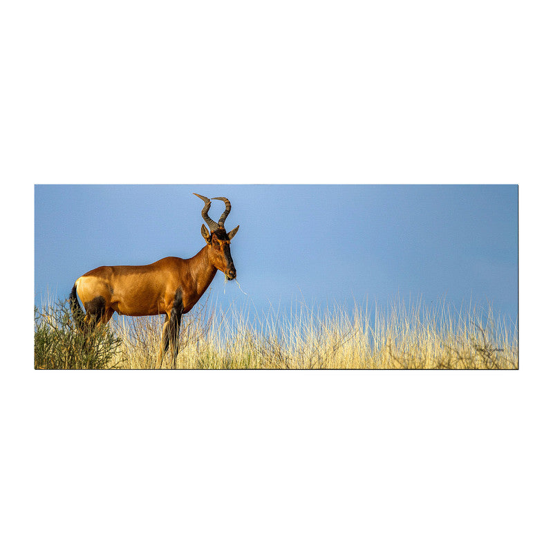 Rooi Hartebees Fanie Large Desk Pad By Fanie Heymans