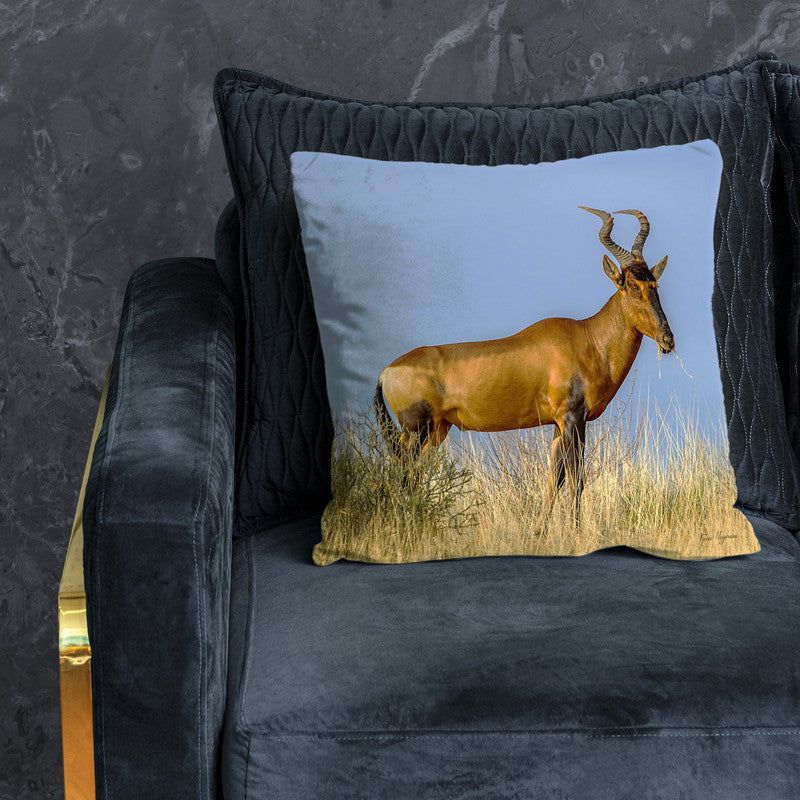 Rooi Hartebees Luxury Scatter By Fanie Heymans