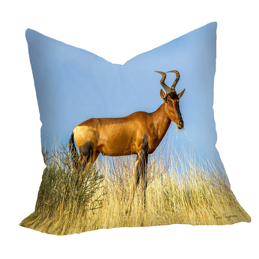 Rooi Hartebees Luxury Scatter By Fanie Heymans