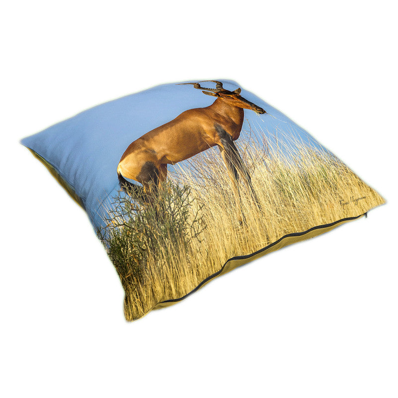 Rooi Hartebees Luxury Scatter By Fanie Heymans