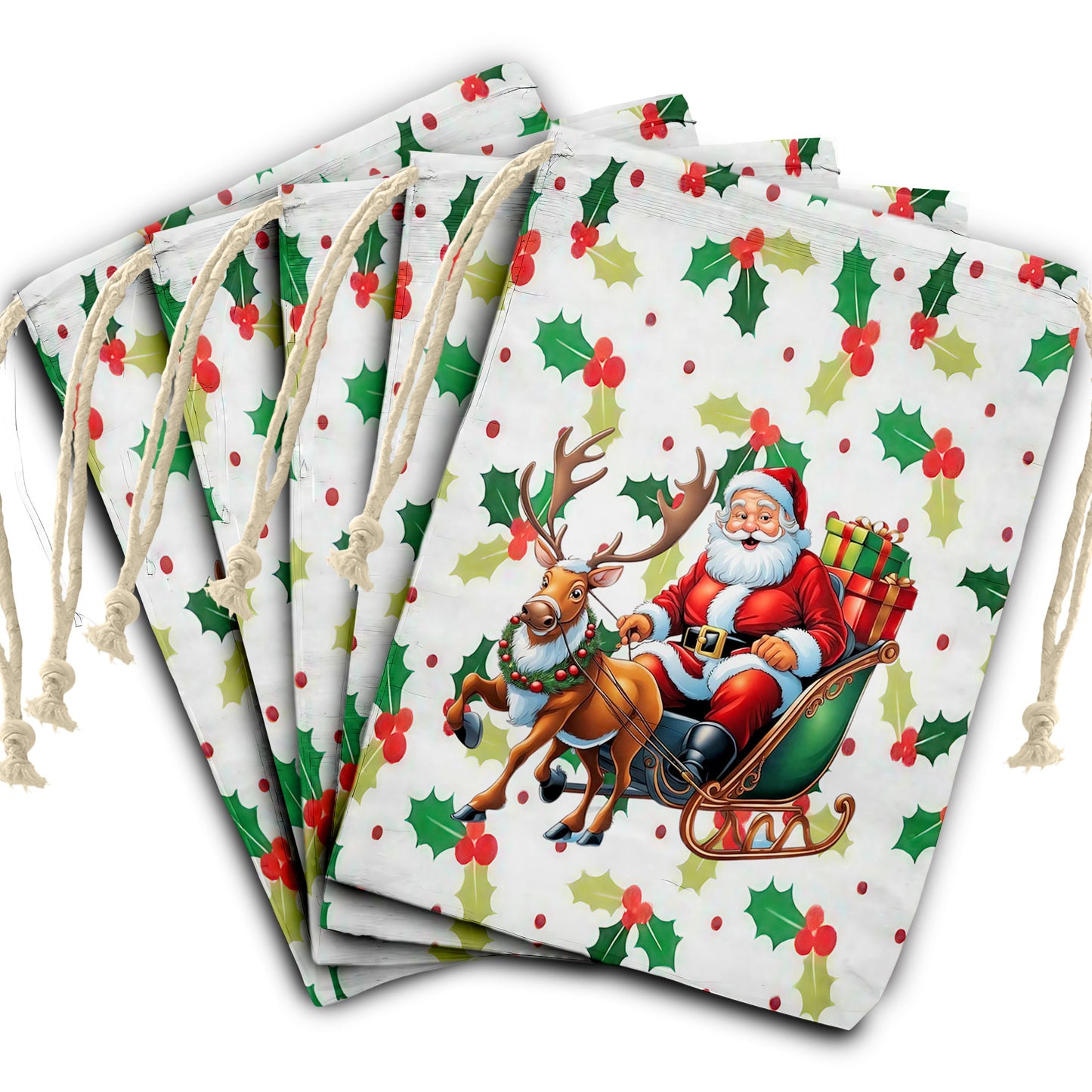 Santas Christmas Gift Bag (Set of 2)