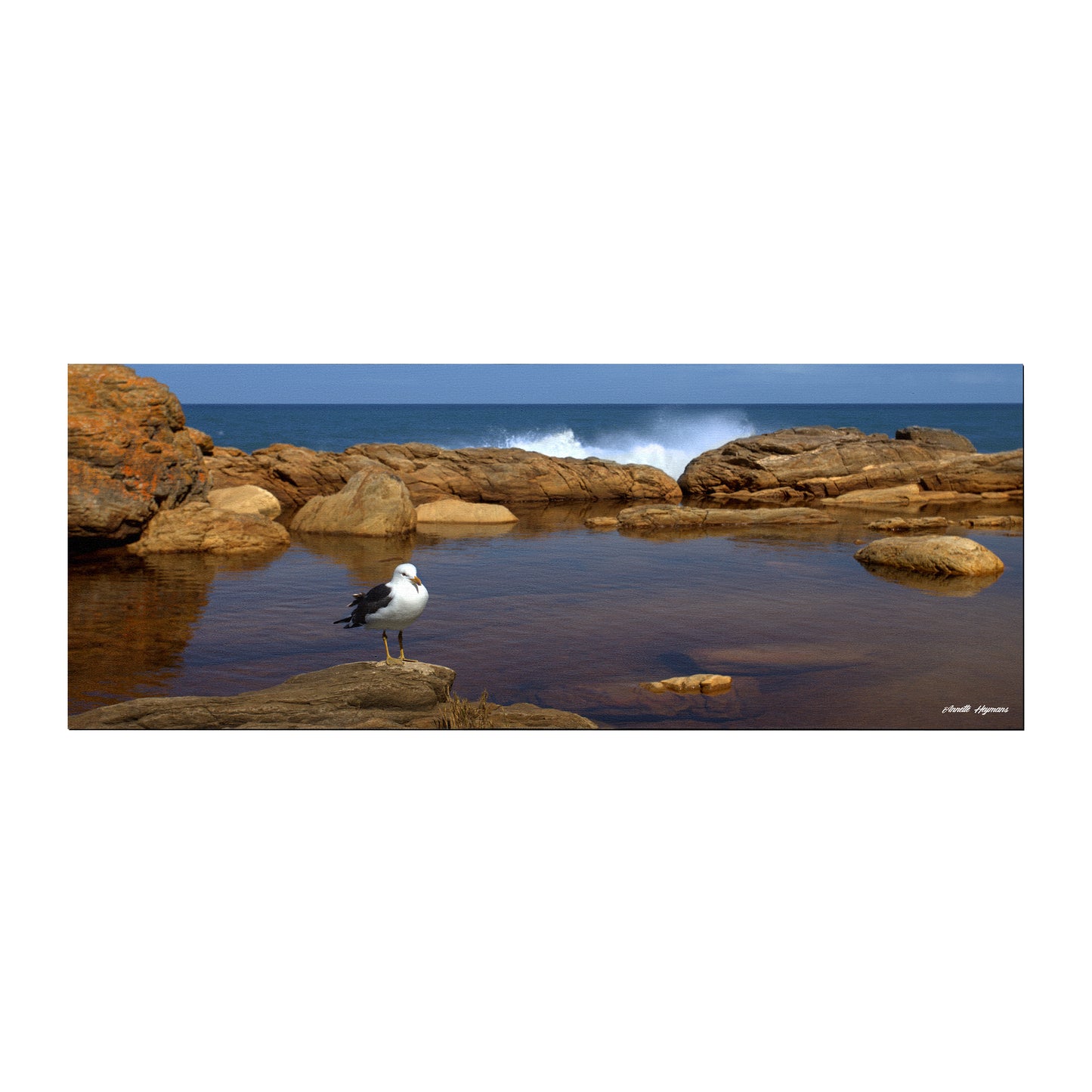 Seascape Desk Pad by Annette Heymans
