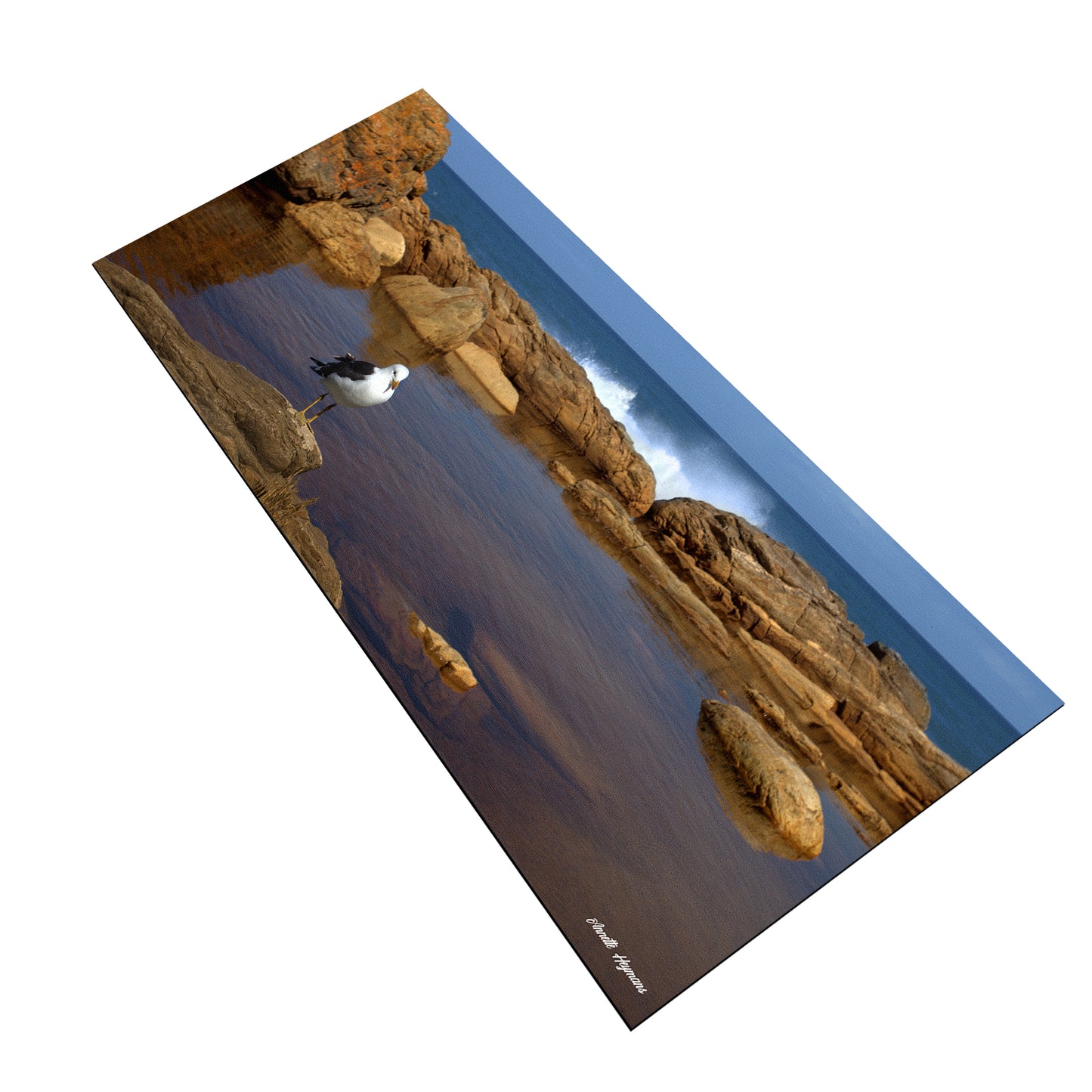 Seascape Desk Pad by Annette Heymans