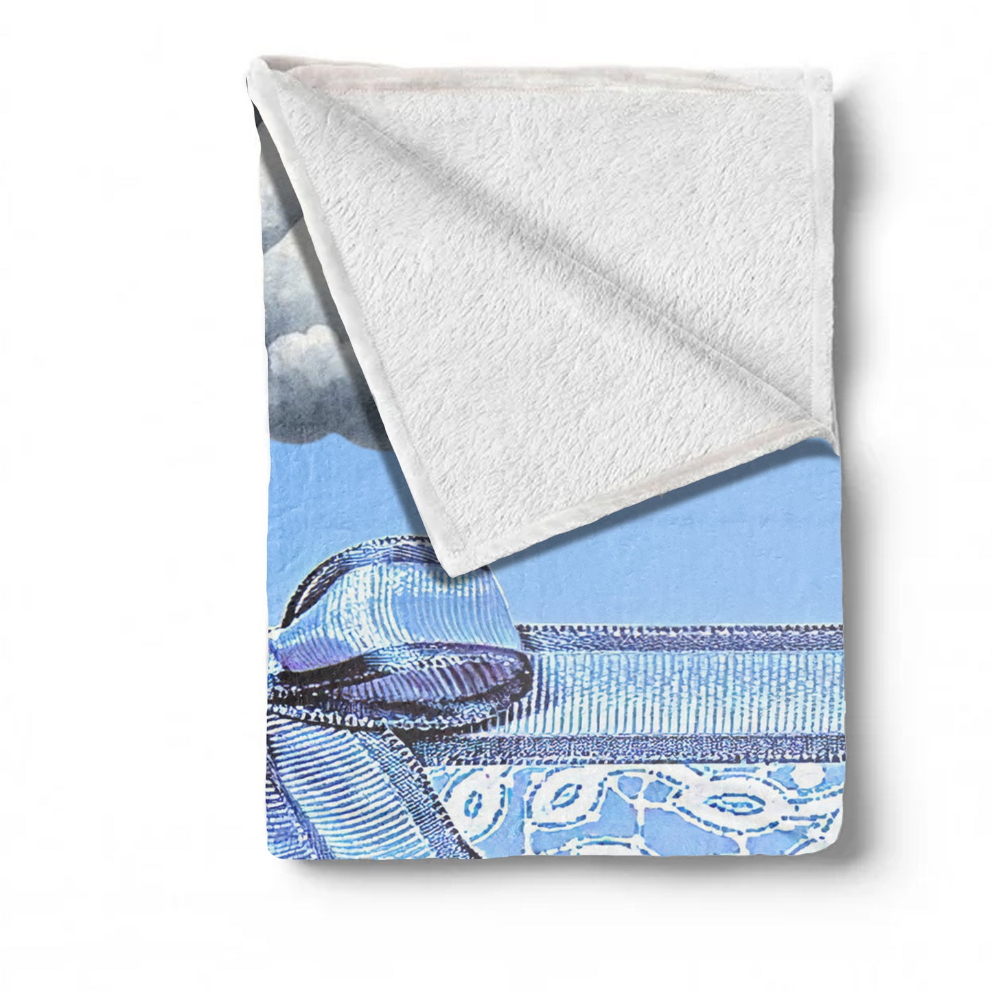 Sleeping Baby Zebra Minky Blanket