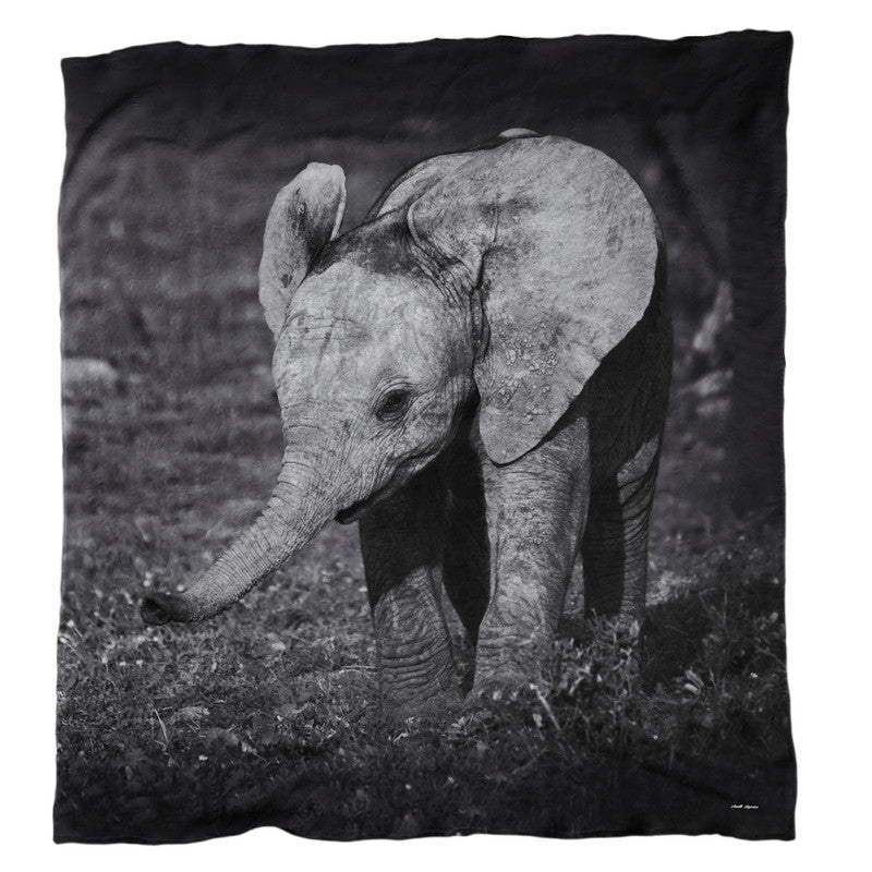 Smell the Flowers Light Weigt Fleece Blanket By Anette Heymans