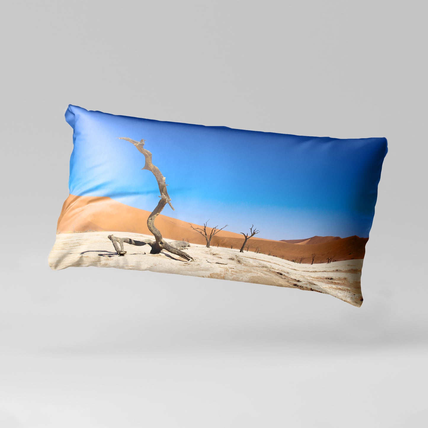 Sossusvlei Deadvlei Namibia Desert Oblong Luxury Scatter by Fanie Heymans