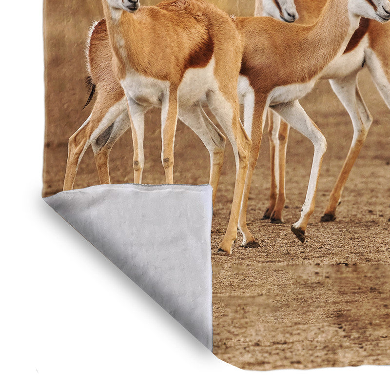 Springbok Gathering Light Weigt Fleece Blanket By Fanie Heymans
