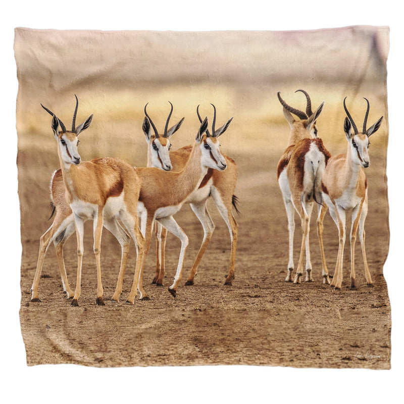 Springbok Gathering Light Weight Fleece Blanket By Fanie Heymans