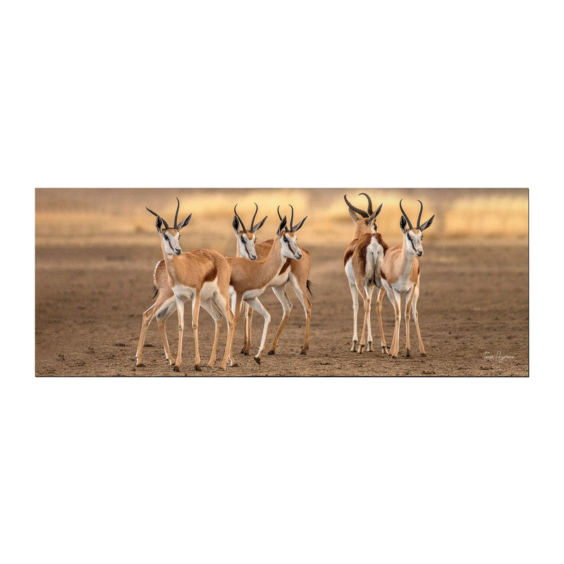 Springbok Gathering Large Desk Pad By Fanie Heymans