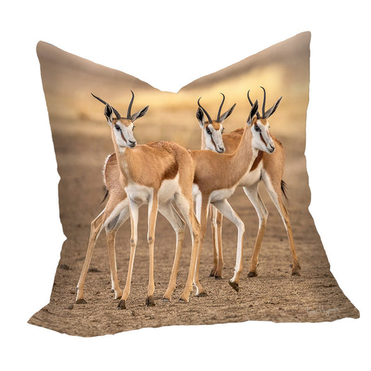 Springbok Gathering Luxury Scatter By Fanie Heymans