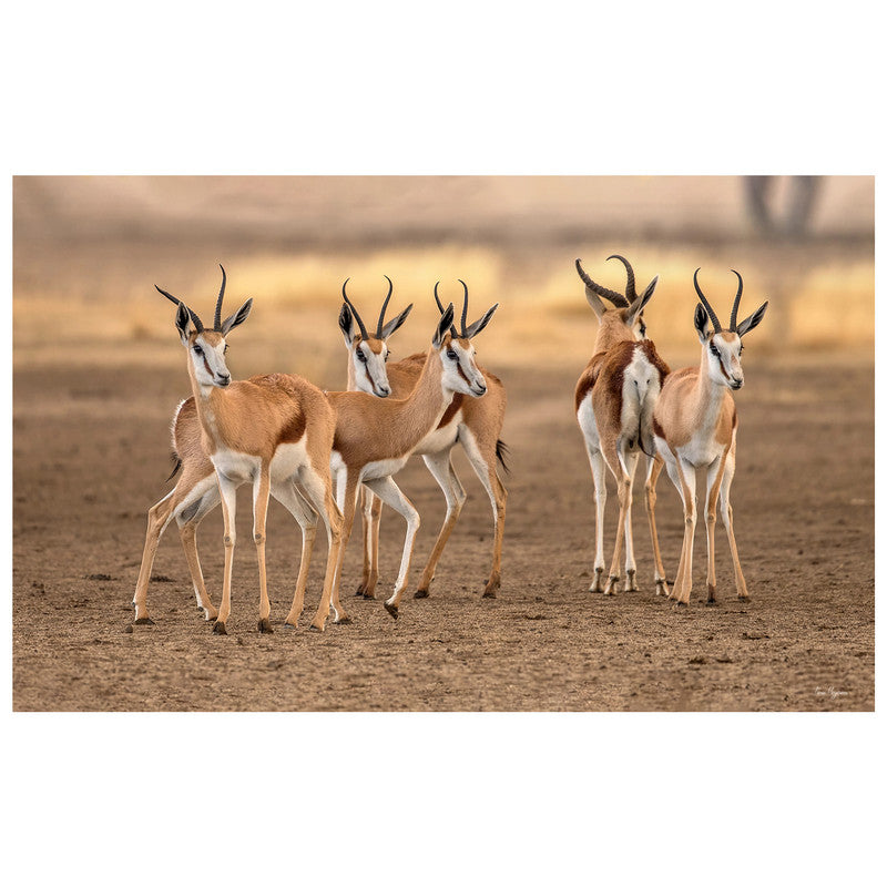 Springbok Gathering By Fanie Heymans Rectangle Tablecloth