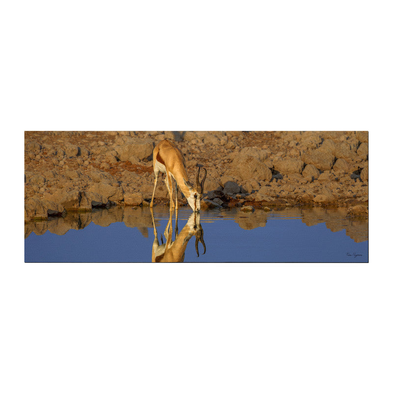 Springbok Reflection Large Desk Pad by Fanie Heymans