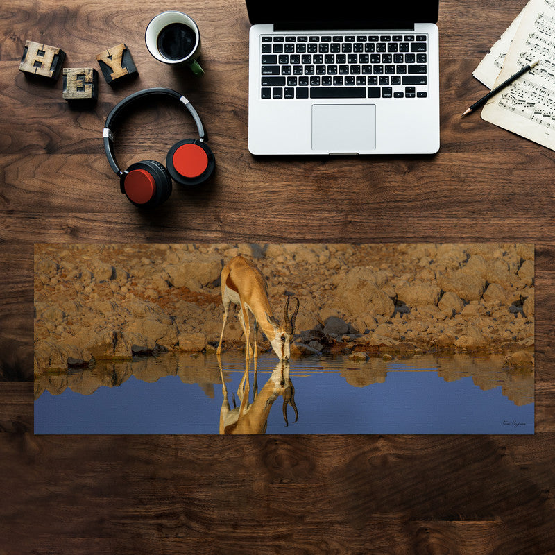 Springbok Reflection Large Desk Pad by Fanie Heymans