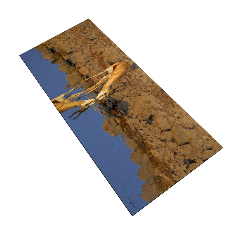 Springbok Reflection Large Desk Pad by Fanie Heymans