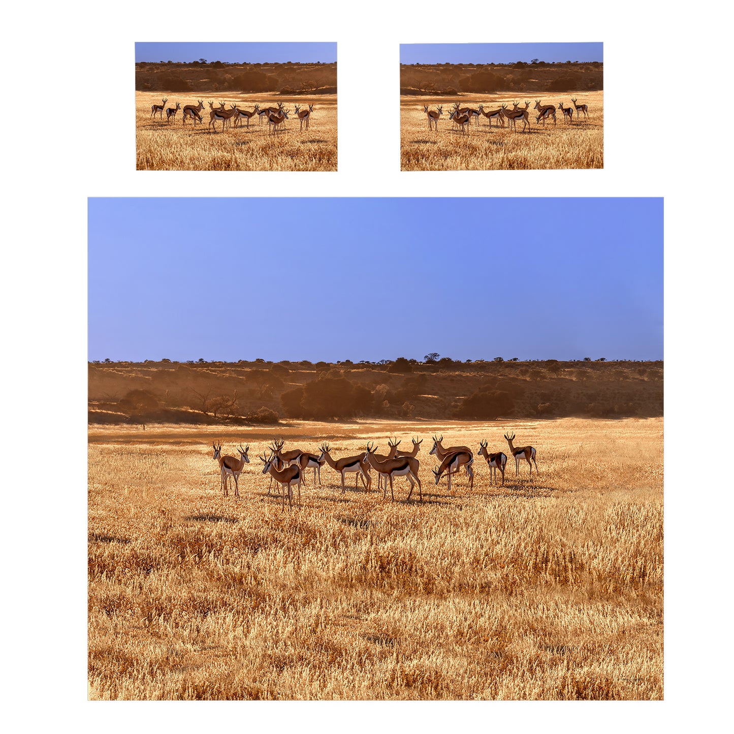 Springbok herd Duvet Cover Set by Fanie Heymans