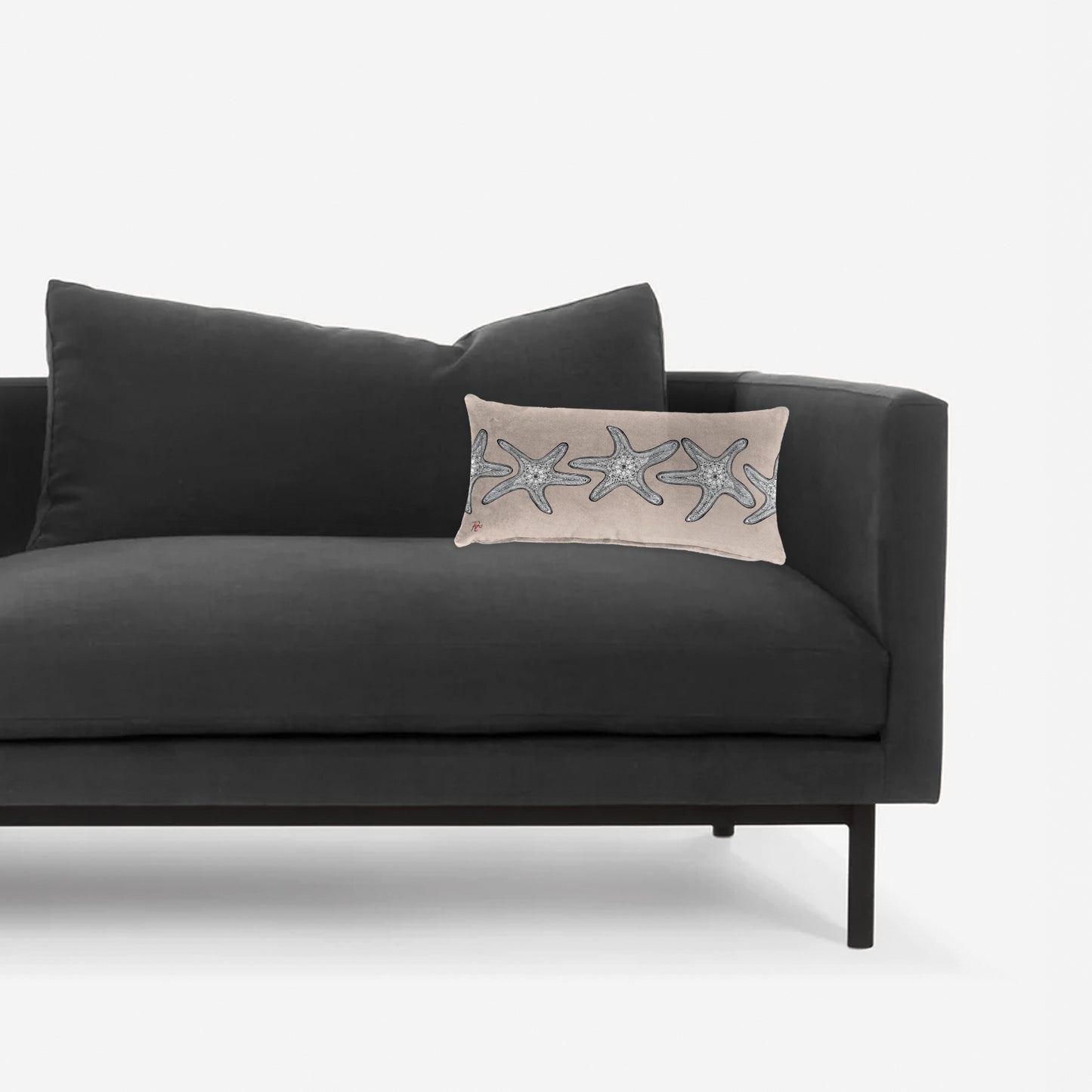 Starfish On Taupe Oblong Oblong Luxury Scatter by Fifo