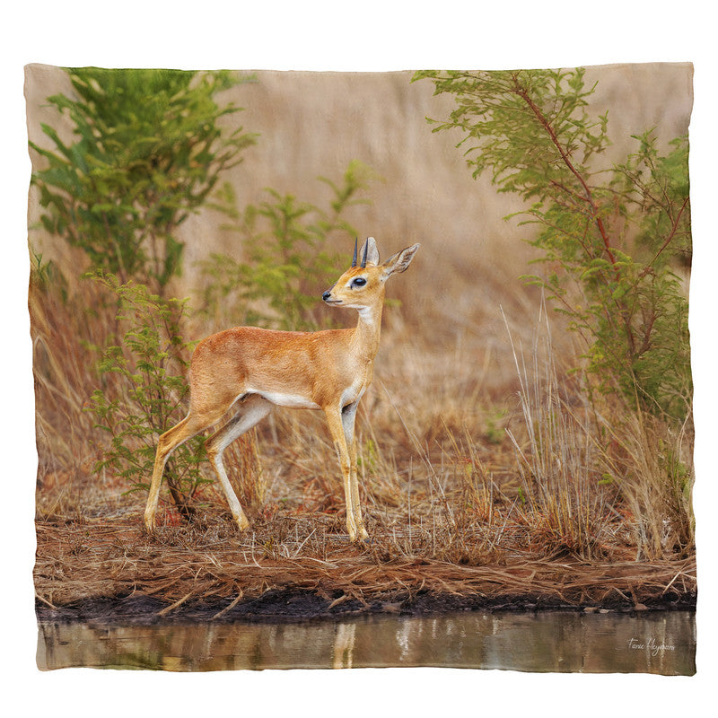 Steen Bok Light Weight Fleece Blanket by Fanie Heymans