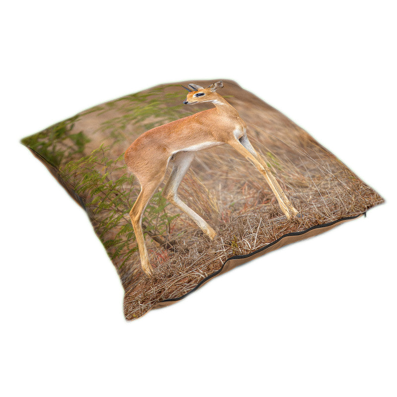 Steen Bok Luxury Scatter by Fanie Heymans