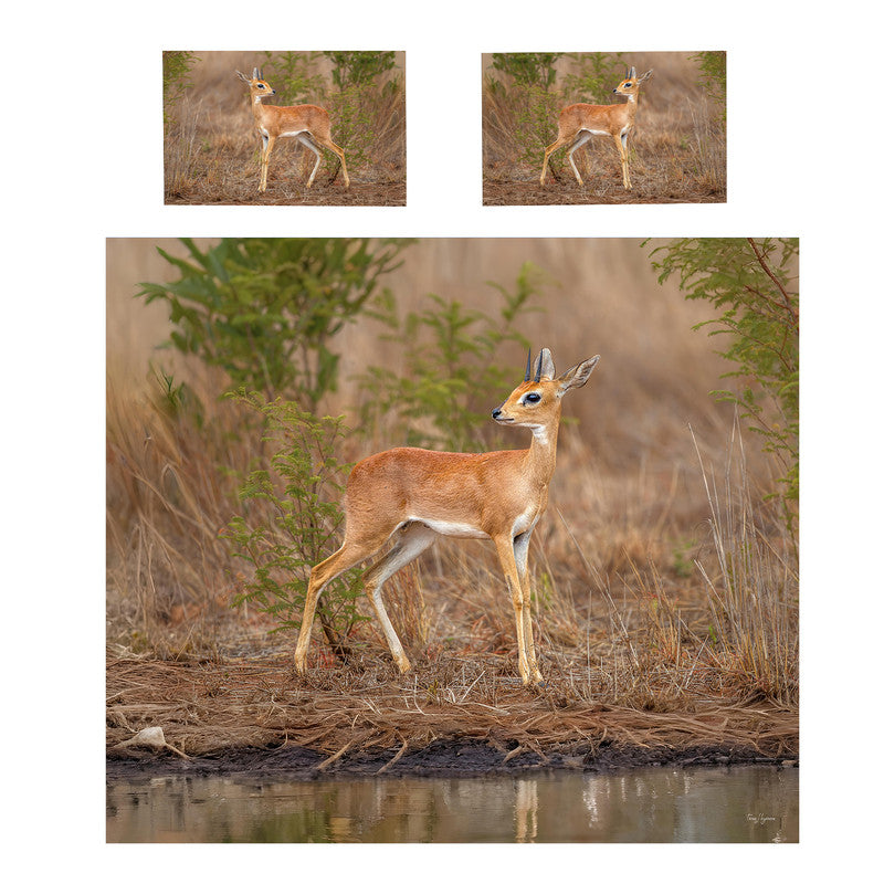 Steenbok Duvet Cover Set by Fanie Heymans