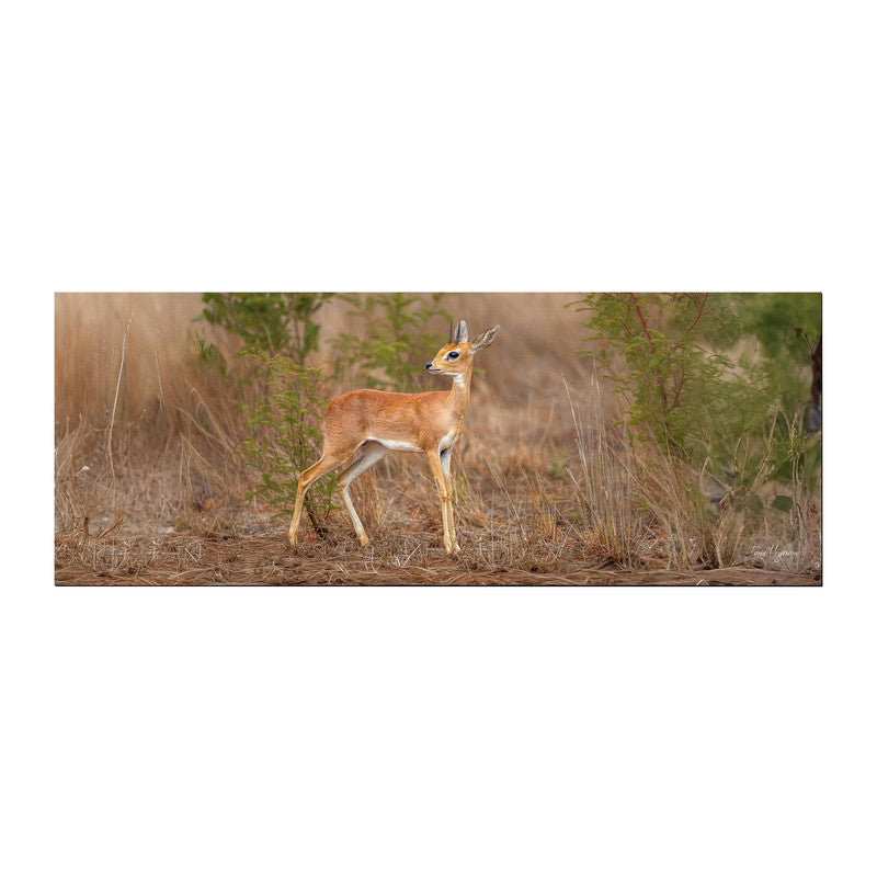 Steenbok by Fanie Desk Pad by Fanie Heymans