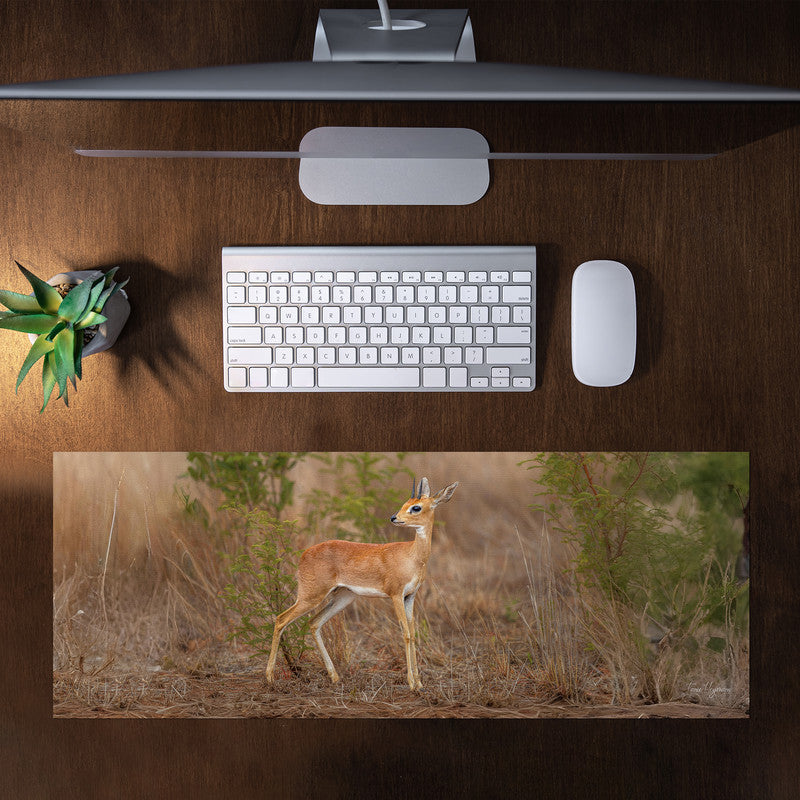 Steenbok by Fanie Desk Pad by Fanie Heymans