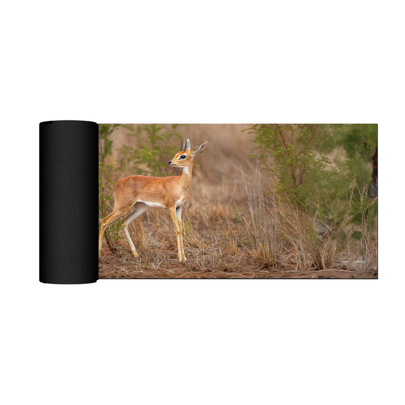 Steenbok by Fanie Desk Pad by Fanie Heymans