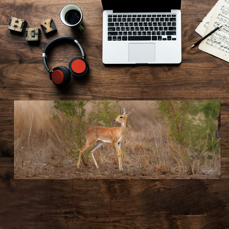 Steenbok by Fanie Desk Pad by Fanie Heymans