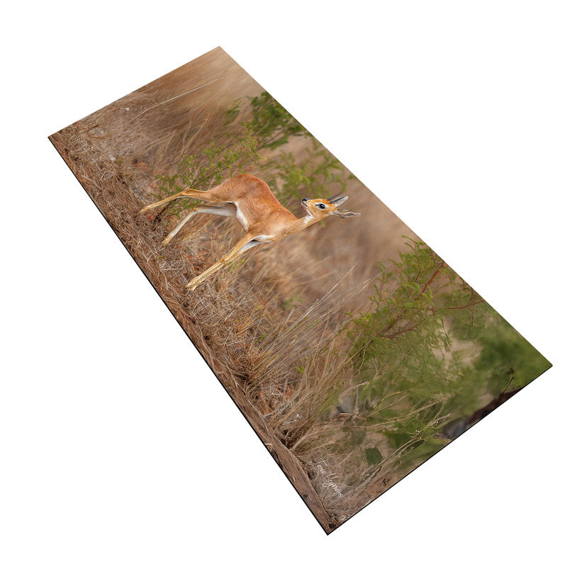 Steenbok by Fanie Desk Pad by Fanie Heymans