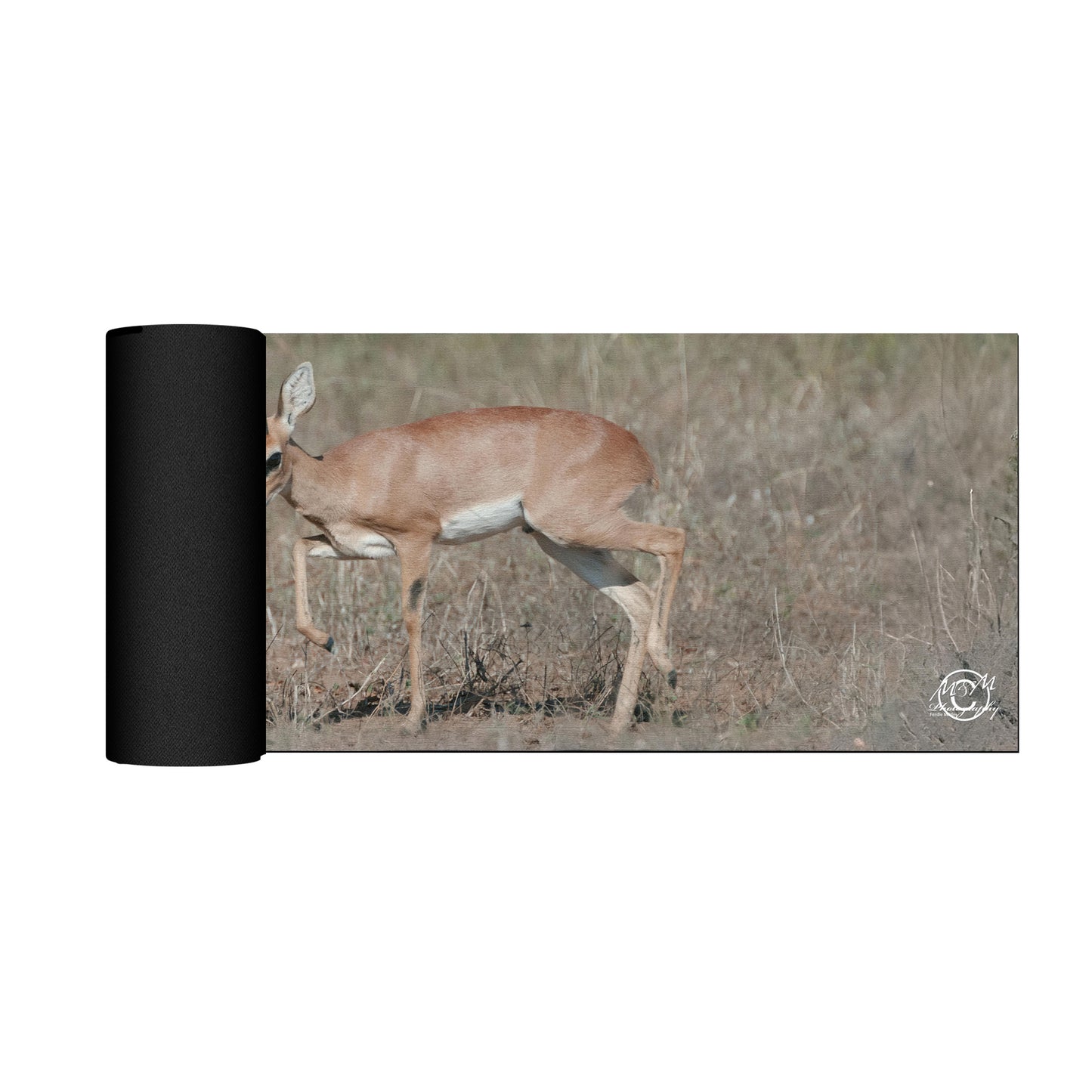 Steenbokkie Desk Pad by Ferdie Muller