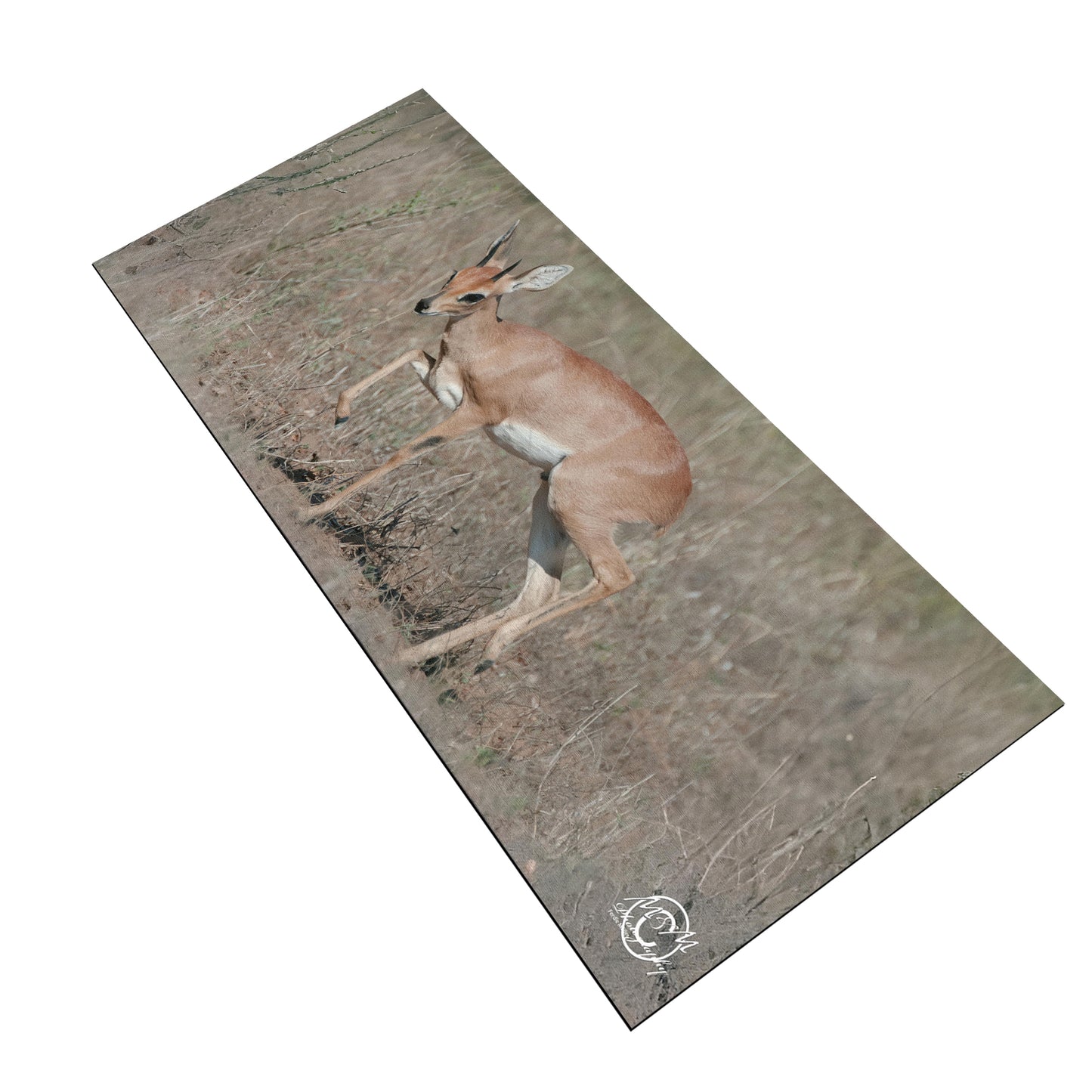 Steenbokkie Desk Pad by Ferdie Muller