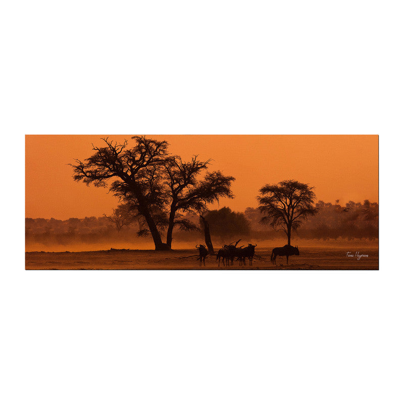 Sunset in the Kgalagadi Large Desk Pad By Fanie Heymans