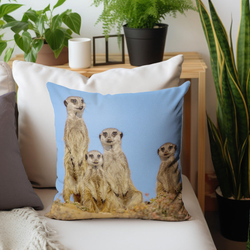 Suricate Stokstert Family of Four Luxury Scatter by Fanie Heymans