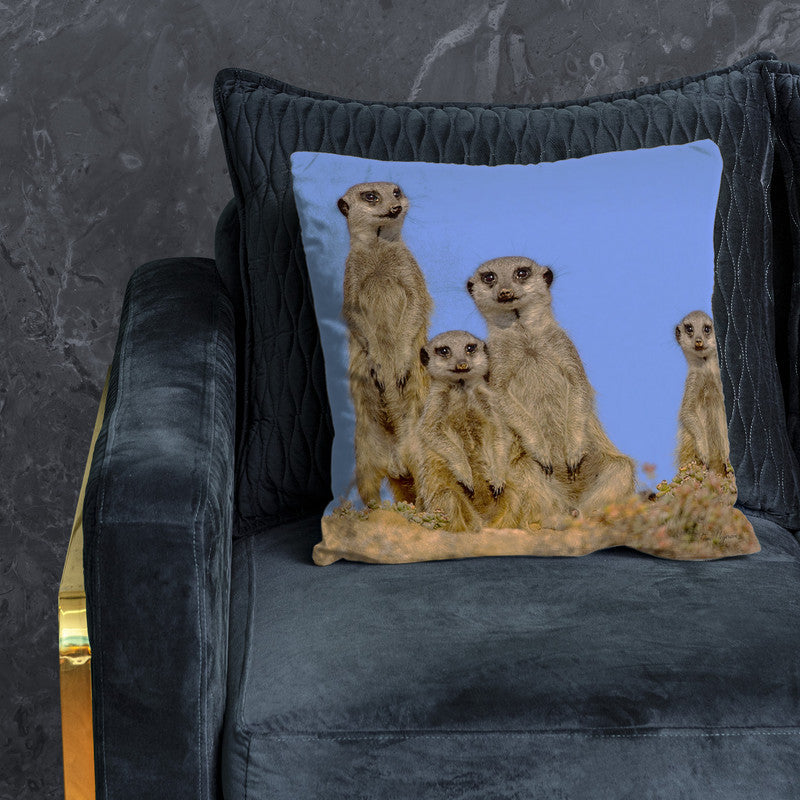 Suricate Stokstert Family of Four Luxury Scatter by Fanie Heymans