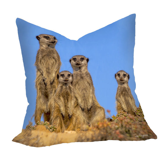 Suricate Stokstert Family of Four Luxury Scatter by Fanie Heymans