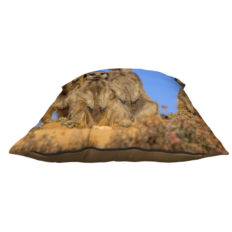 Suricate Stokstert Family of Four Luxury Scatter by Fanie Heymans