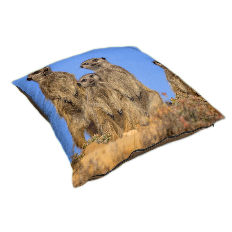 Suricate Stokstert Family of Four Luxury Scatter by Fanie Heymans