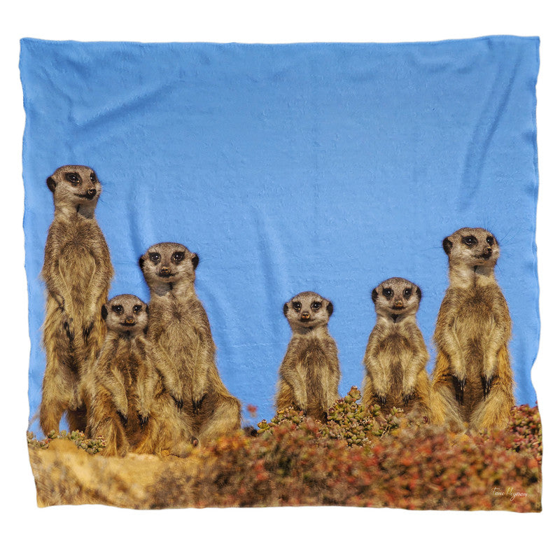 Suricate Stokstert Meerkat Light Weight Fleece Blanket By Fanie Heymans