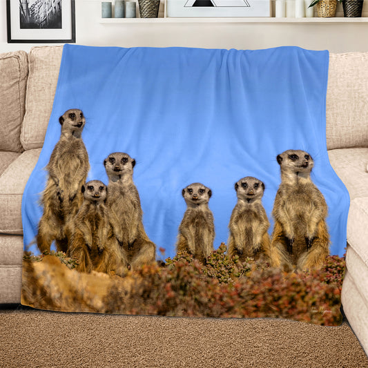Suricate Stokstert Meerkat Light Weight Fleece Blanket By Fanie Heymans
