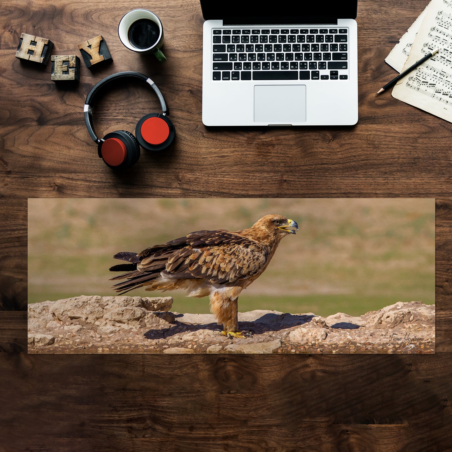 Tawney Eagle Desk Pad by Fanie Heymans