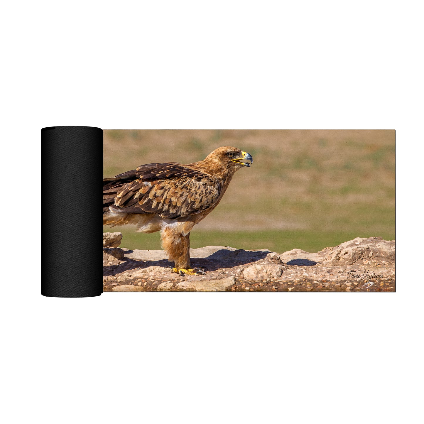 Tawney Eagle Desk Pad by Fanie Heymans