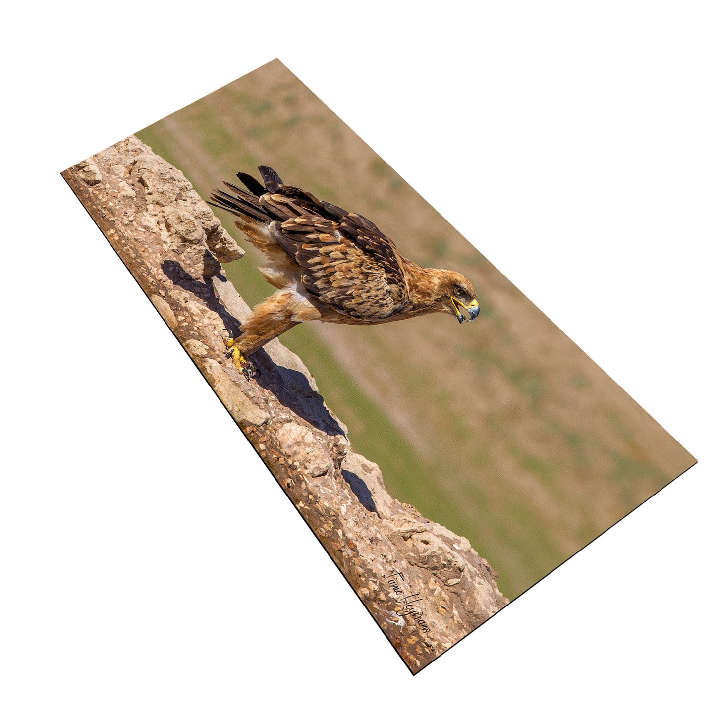 Tawney Eagle Desk Pad by Fanie Heymans