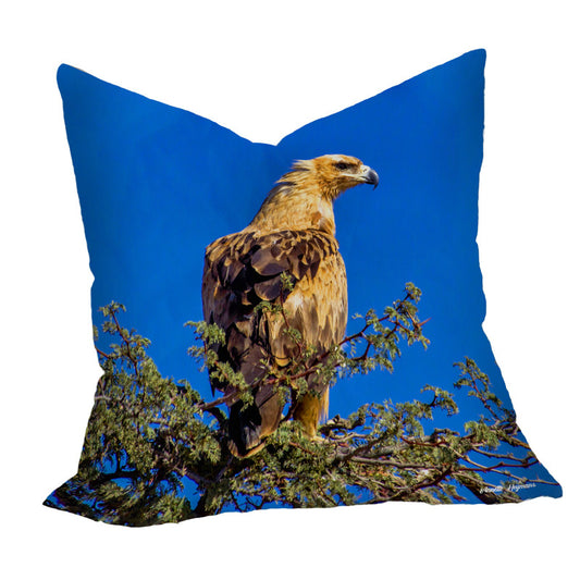 Tawny Eagle Luxury Scatter By Annette Heymans