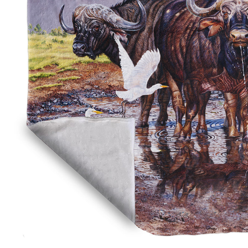Thunderstruck Light Weight Fleece Blanket by Delene Lambert