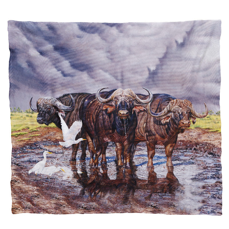 Thunderstruck Light Weight Fleece Blanket by Delene Lambert